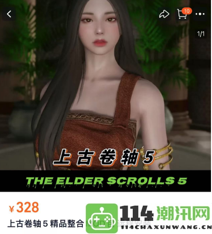 因商家售卖mod而受到压力的《老滚5》著名UP主无奈选择退坑