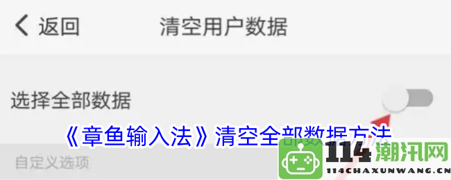 如何在《章鱼输入法》中彻底清空所有存储的数据和历史记录