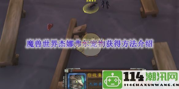 《魔兽世界》杰娜弗尔宠物获取指南与技巧分享