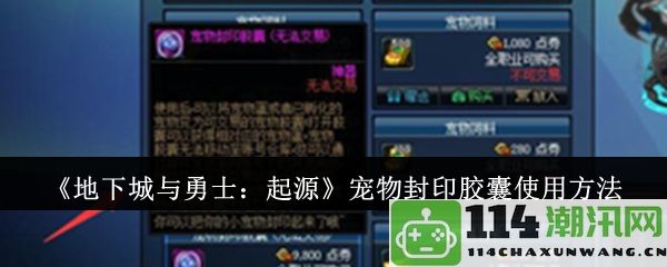 《地下城与勇士：起源》宠物封印胶囊的详细使用攻略与技巧分享