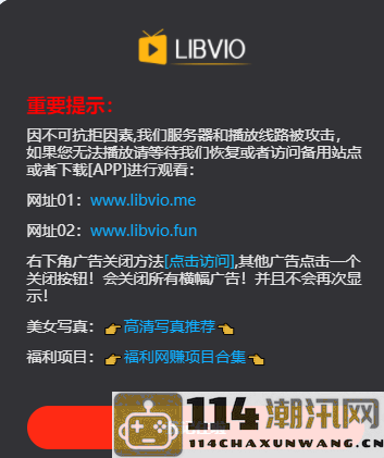 《libvio》官方网站入口链接分享及详细介绍