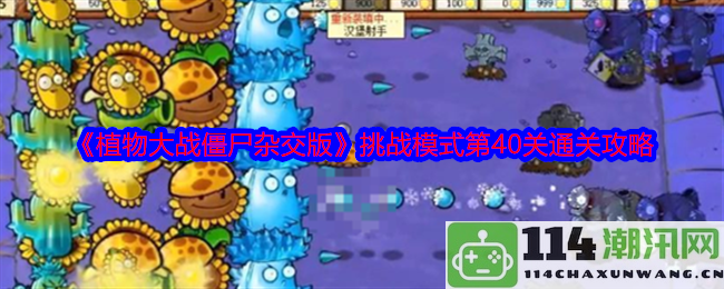 《植物大战僵尸杂交版》挑战模式第40关全攻略与通关技巧分享