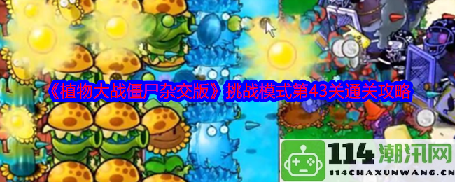 《植物大战僵尸杂交版》挑战模式第43关详尽通关技巧与攻略