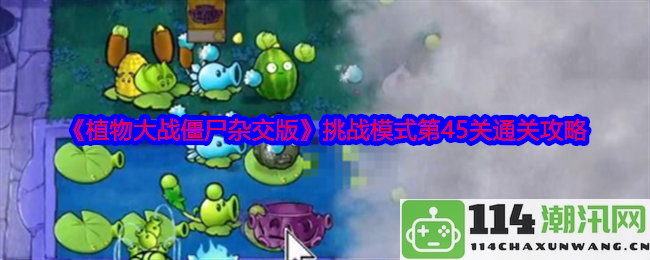 《植物大战僵尸杂交版》挑战模式第45关详细通关攻略与实用技巧分享