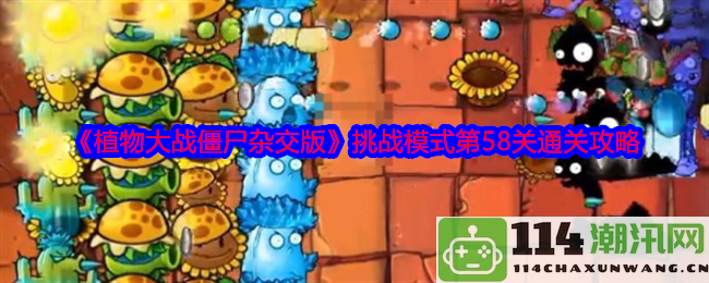 《植物大战僵尸杂交版》挑战模式第58关详细通关策略分享与技巧指南