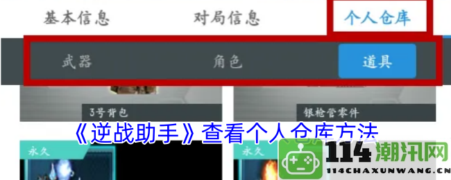《逆战助手》如何快速查看个人仓库中的所有物品和信息
