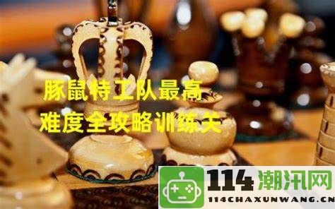 掌握《橘右小雪人》游戏技巧，揭秘雪人世界的全方位攻略与通关秘籍！