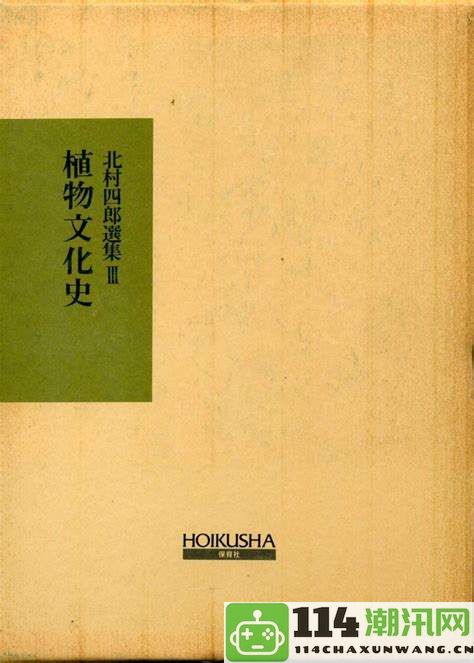 探索打call文化的根源：奈良时代圆环所蕴含的神秘科学世界