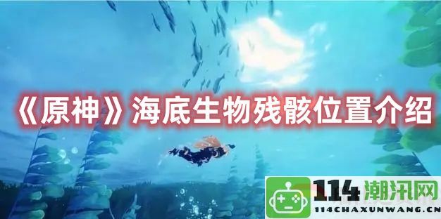 原神探索海底生物遗骸的详细位置与指南