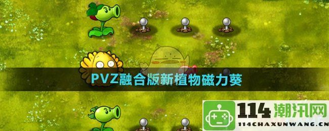 《植物大战僵尸融合版》全新植物磁力葵详细解读与玩法介绍