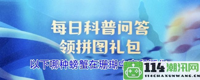 在珊瑚礁环境中哪个种类的螃蟹进行产卵与孵化活动