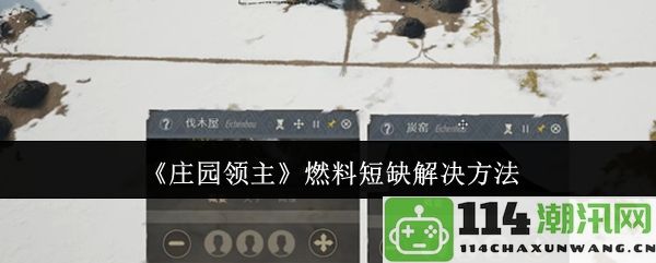 《庄园领主》应对燃料短缺的有效策略与解决方案