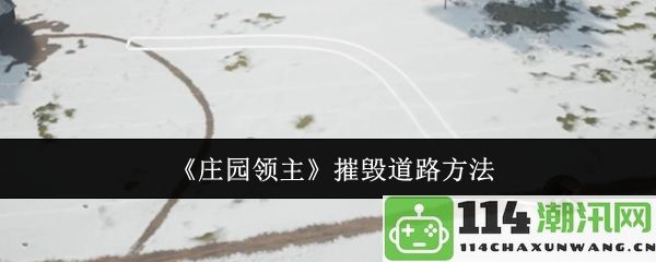 《庄园领主》破坏道路的有效策略与技巧分享