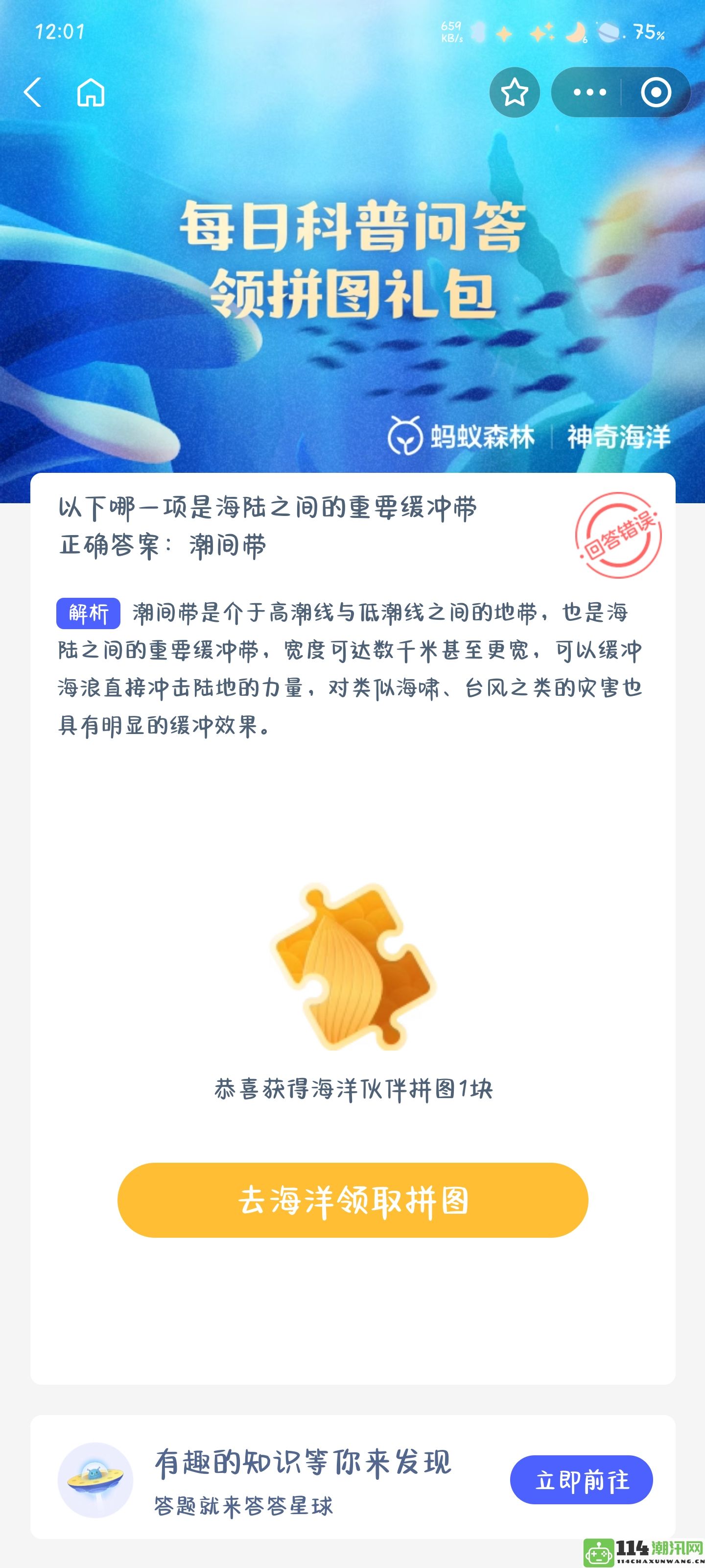 在海洋与陆地之间起到关键缓冲作用的区域是哪个？