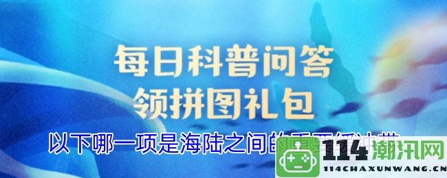 在海洋与陆地之间起到关键缓冲作用的区域是哪个？