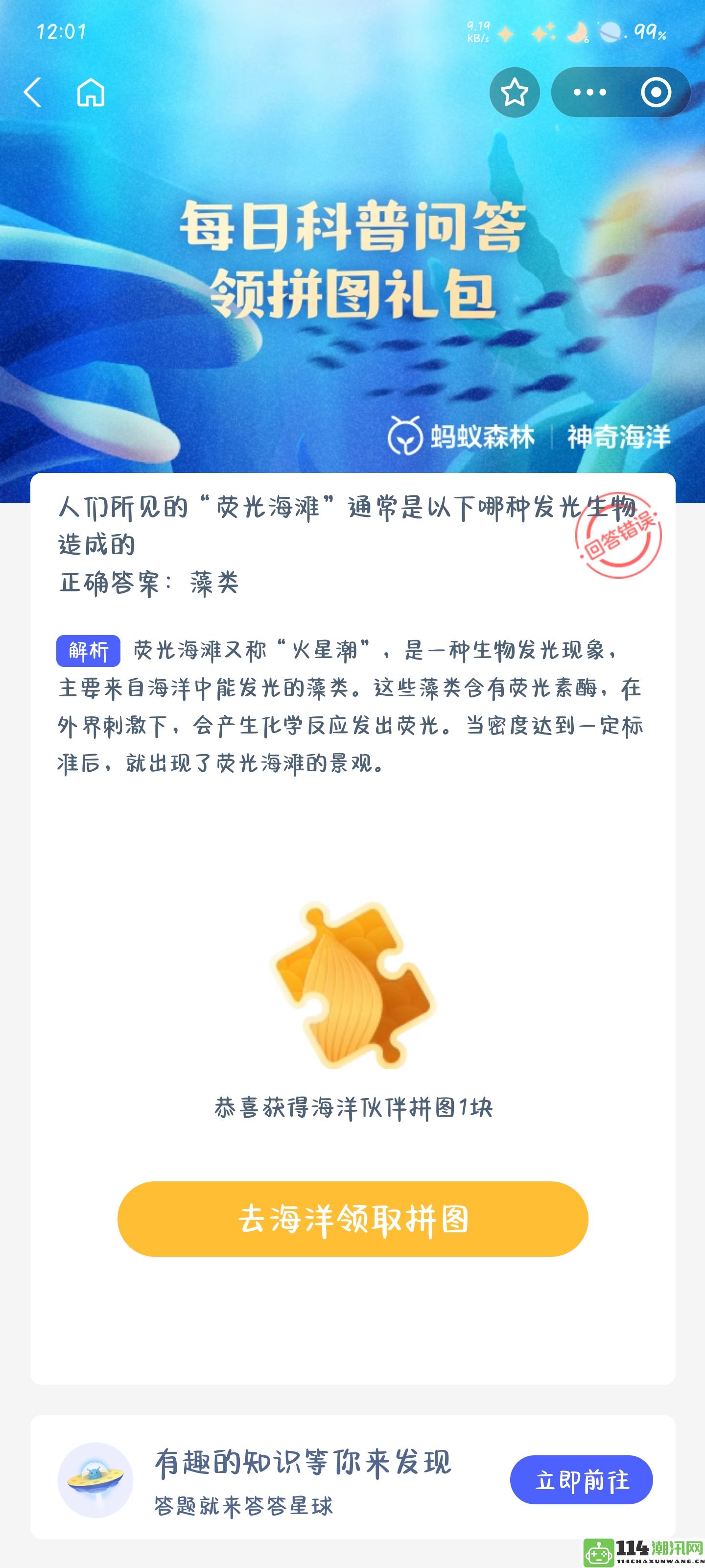 荧光海滩中常见的发光生物到底是什么原因造成的