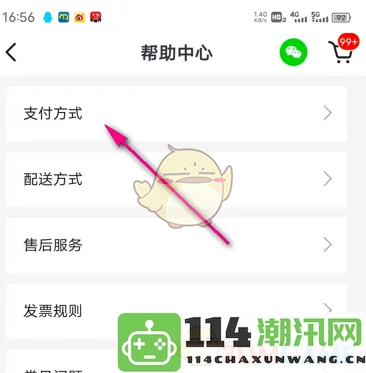 《麦德龙》支付方式的详细介绍与支持选项分析