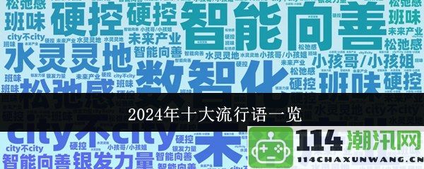 2024年最热十大流行语汇总分析与解读