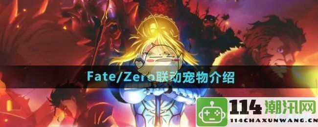 《DNF》Fate/Zero联动宠物详细介绍与玩法解析