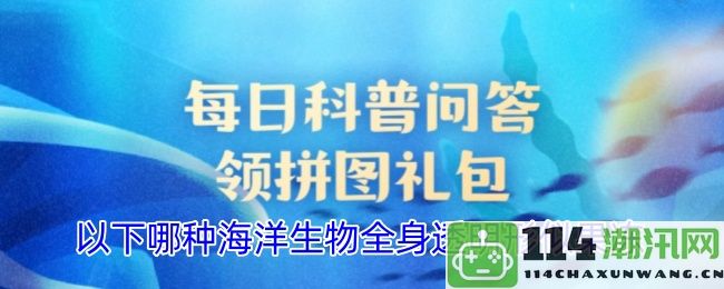 哪种透明的海洋生物呈现出果冻般的形态，令人惊叹不已？