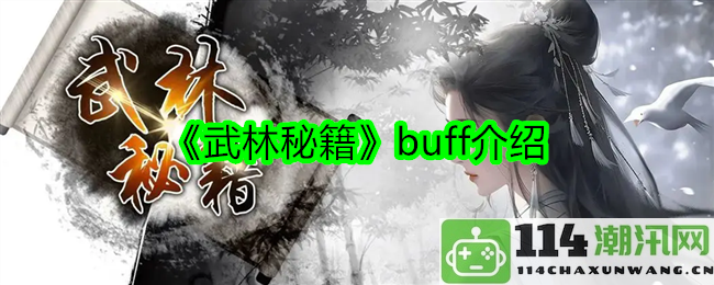 《武林秘籍》中的各种buff效果详解与应用