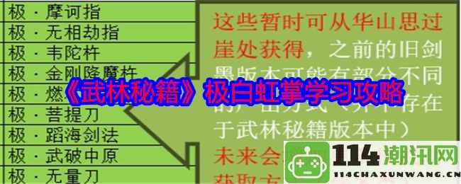 《武林秘籍》极白虹掌修炼技巧全面解析与学习指南