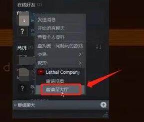 致命公司联机的方法与步骤是什么？如何进行多人合作？