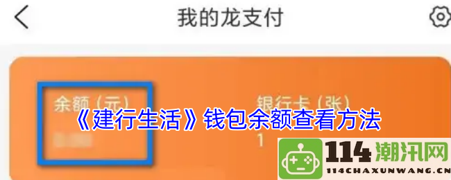 《建行生活》如何查看钱包余额的详细步骤与技巧