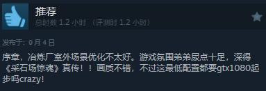 恐怖游戏《弗兰克·斯通的阴影》在Steam上线引发玩家褒贬不一的热议