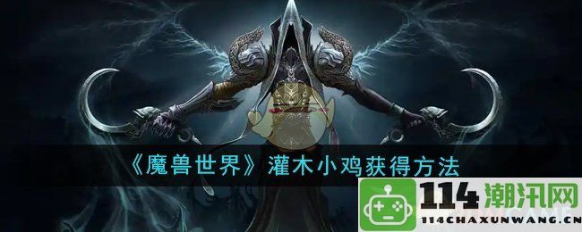 《魔兽世界》中如何成功获取灌木小鸡的详细攻略与技巧