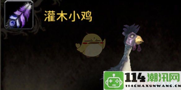 《魔兽世界》中如何成功获取灌木小鸡的详细攻略与技巧