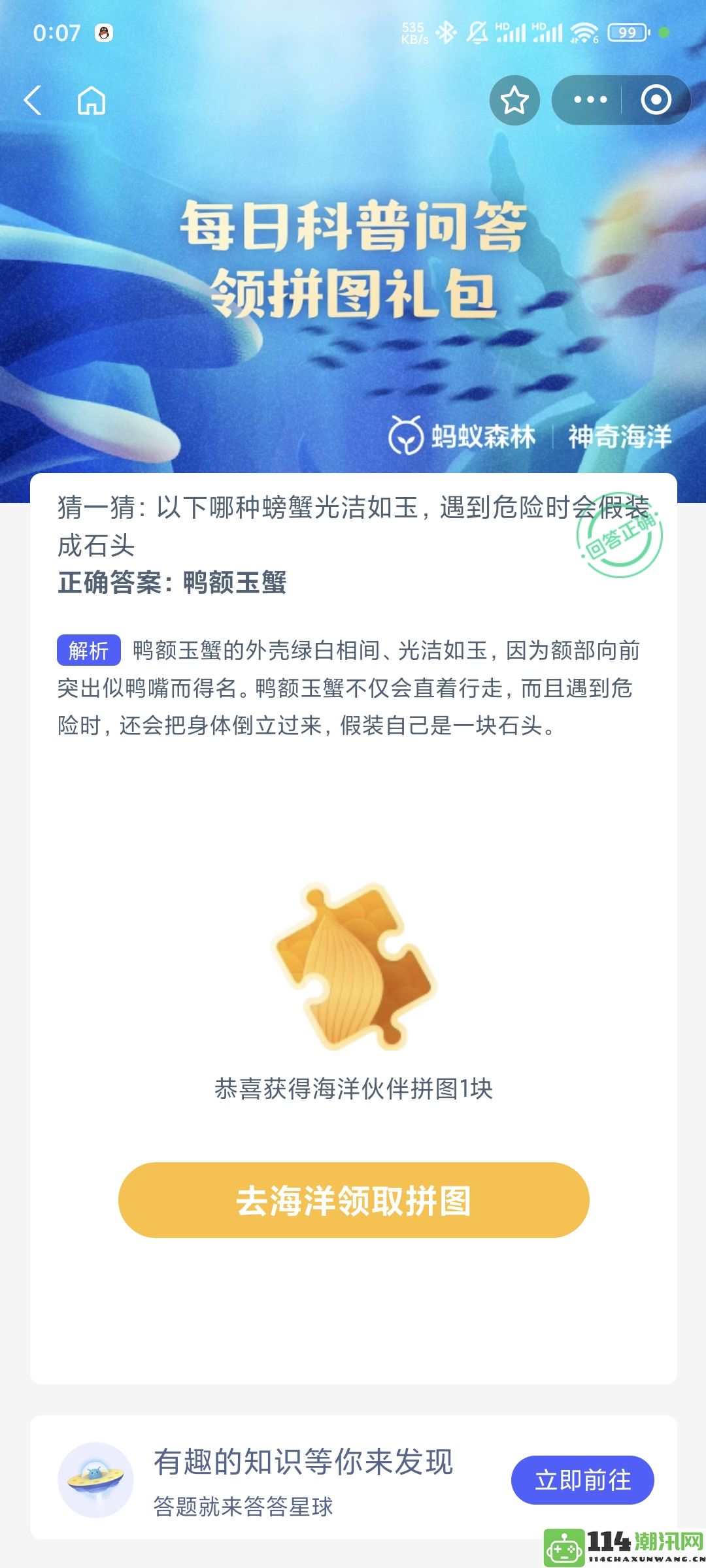 这种光洁如玉的螃蟹在遭遇危险时会巧妙伪装成岩石以保护自己