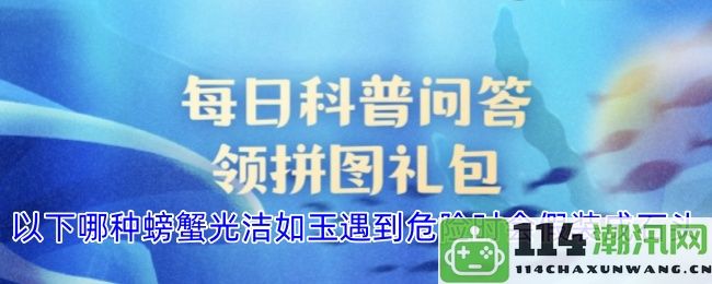 这种光洁如玉的螃蟹在遭遇危险时会巧妙伪装成岩石以保护自己