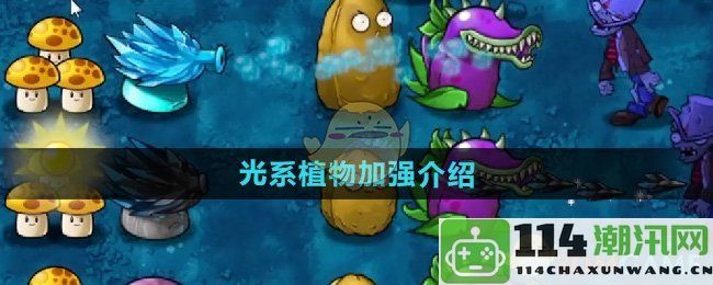 《植物大战僵尸融合版》光系植物全面提升的详细介绍与分析