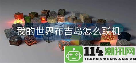 如何在我的世界布吉岛中进行联机游戏，玩家需要了解哪些步骤和技巧