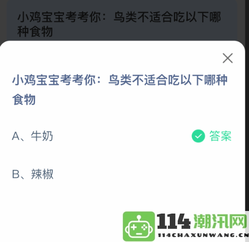 小鸟们的饮食小知识：哪些食物是不适合给鸟类食用的呢？