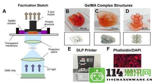 动物胶配方全书高清3D：深入探讨各种动物胶配方及其在高清3D领域的应用解析