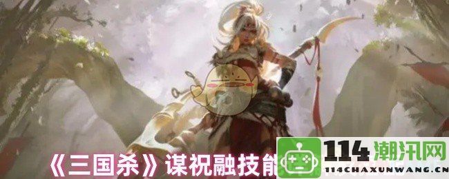 《三国杀》祝融谋略技能解析与最佳搭配方案详述