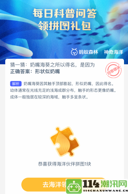 揭秘奶嘴海葵名称的由来及其独特特征