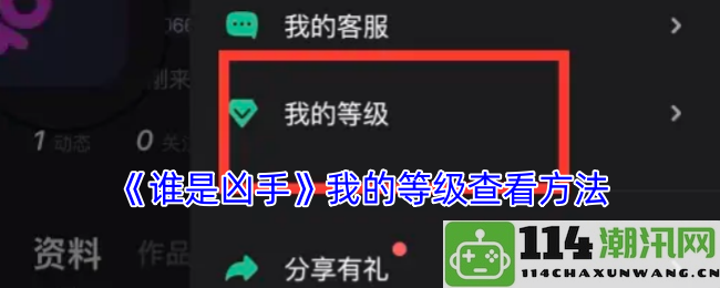 《谁是凶手》游戏内我的等级查询技巧与方法分享