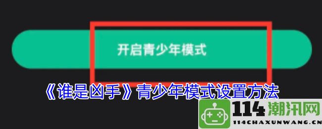 《谁是凶手》游戏中的青少年模式如何正确设置与配置