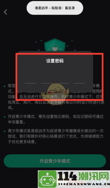 《谁是凶手》游戏中的青少年模式如何正确设置与配置